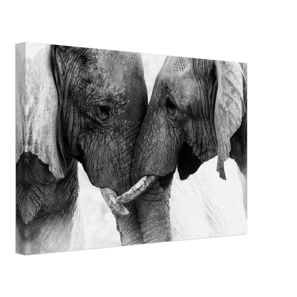 Da Vinci Animal Kingdom Art Wall art print | Elephant Love - Canvas - 30x45 cm / 12x18″ - 