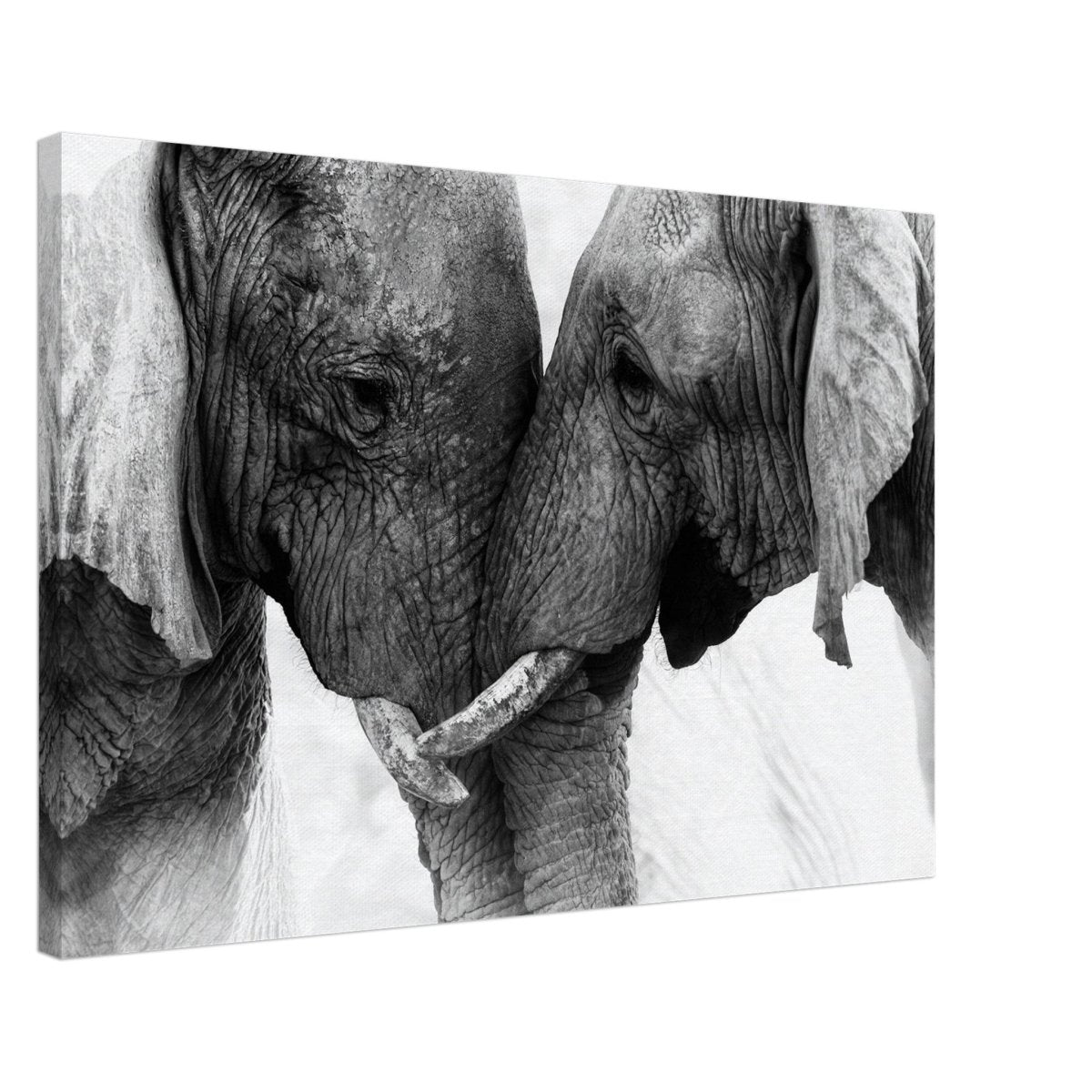 Da Vinci Animal Kingdom Art Wall art print | Elephant Love - Canvas - 50x75 cm / 20x30″ - 