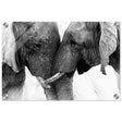 Da Vinci Animal Kingdom Art Wall art print | Elephant Love - Acrylic Print - 30x45 cm / 12x18″ - 