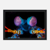 Da Vinci Animal Kingdom Art Wall art print | Eyes of Peacock mantis shrimp - Framed Canvas - 40x60 cm / 16x24″ - Black frame