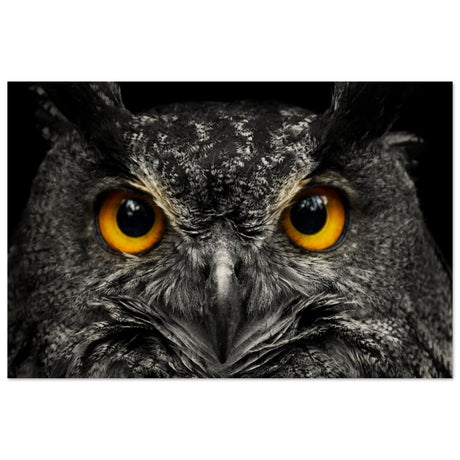 Da Vinci Animal Kingdom Art Wall art print | Night Owl eyes - Wood Prints - 30x45 cm / 12x18″ - 