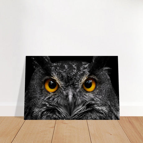 Da Vinci Animal Kingdom Art Wall art print | Night Owl eyes - Brushed Aluminum Print - 60x90 cm / 24x36″ - 