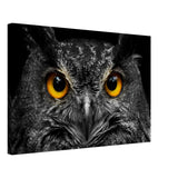 Da Vinci Animal Kingdom Art Wall art print | Night Owl eyes - Canvas - 40x60 cm / 16x24″ - 