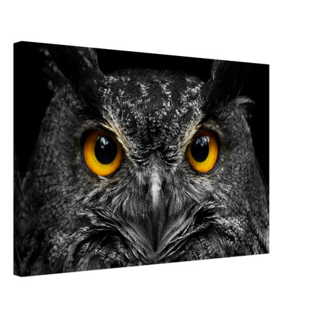 Da Vinci Animal Kingdom Art Wall art print | Night Owl eyes - Canvas - 40x60 cm / 16x24″ - 