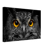 Da Vinci Animal Kingdom Art Wall art print | Night Owl eyes - Canvas - 30x45 cm / 12x18″ - 