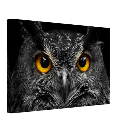 Da Vinci Animal Kingdom Art Wall art print | Night Owl eyes - Canvas - 30x45 cm / 12x18″ - 