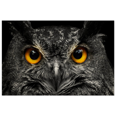 Da Vinci Animal Kingdom Art Wall art print | Night Owl eyes - Wood Prints - 40x60 cm / 16x24″ - 