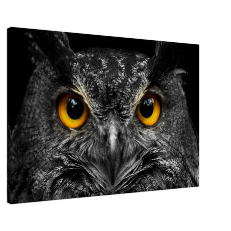 Da Vinci Animal Kingdom Art Wall art print | Night Owl eyes - Canvas - 60x90 cm / 24x36″ - 