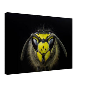 Da Vinci Animal Kingdom Art Wall art print - Canvas - 30x45 cm / 12x18″ - 