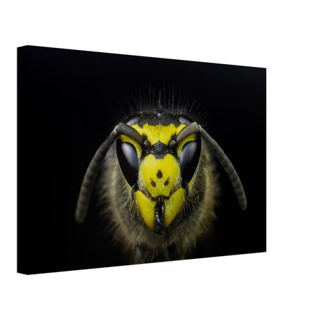 Da Vinci Animal Kingdom Art Wall art print - Canvas - 30x45 cm / 12x18″ - 