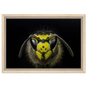 Da Vinci Animal Kingdom Art Wall art print - Framed Canvas - 30x45 cm / 12x18″ - Wood frame