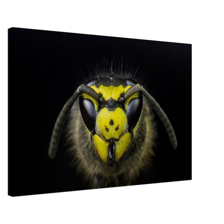 Da Vinci Animal Kingdom Art Wall art print - Canvas - 50x75 cm / 20x30″ - 