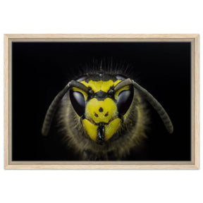 Da Vinci Animal Kingdom Art Wall art print - Framed Canvas - 40x60 cm / 16x24″ - Wood frame