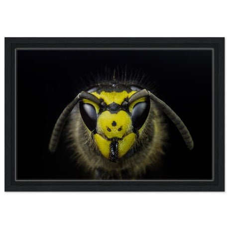 Da Vinci Animal Kingdom Art Wall art print - Framed Canvas - 30x45 cm / 12x18″ - Black frame