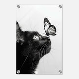 Da Vinci Animal Kingdom Wall art | Cat Butterfly - Acrylic Print - 30x45 cm / 12x18″ - 