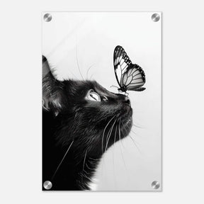 Da Vinci Animal Kingdom Wall art | Cat Butterfly - Acrylic Print - 30x45 cm / 12x18″ - 