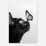 Da Vinci Animal Kingdom Wall art | Cat Butterfly - Aluminum Print - 70x100 cm / 28x40″ - 