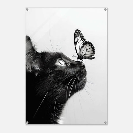 Da Vinci Animal Kingdom Wall art | Cat Butterfly - Acrylic Print - 70x100 cm / 28x40″ - 