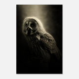 Da Vinci Animal Kingdom Wall art | Owl - Wood Prints - 30x45 cm / 12x18″ - 10 mm