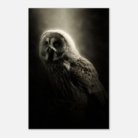 Da Vinci Animal Kingdom Wall art | Owl - Aluminum Print - 40x60 cm / 16x24″ - 