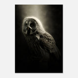 Da Vinci Animal Kingdom Wall art | Owl - Aluminum Print - 70x100 cm / 28x40″ - 
