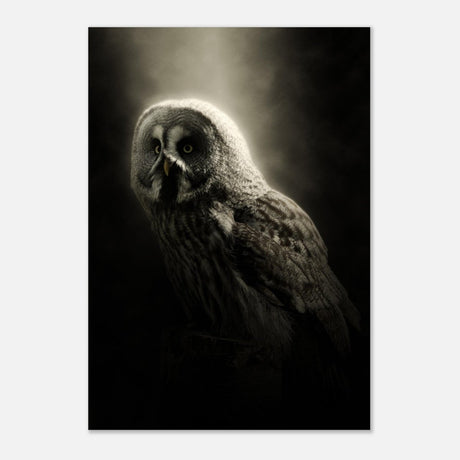 Da Vinci Animal Kingdom Wall art | Owl - Aluminum Print - 70x100 cm / 28x40″ - 