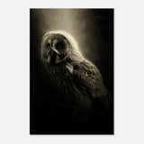 Da Vinci Animal Kingdom Wall art | Owl - Wood Prints - 40x60 cm / 16x24″ - 10 mm