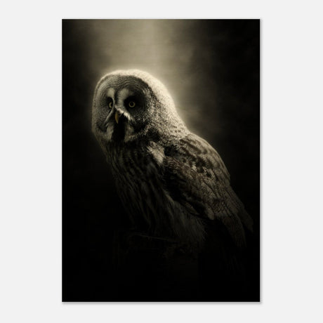 Da Vinci Animal Kingdom Wall art | Owl - Wood Prints - 70x100 cm / 28x40″ - 20 mm