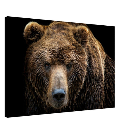 Da Vinci Animal Kingdom Wall art print | Brown bear - Canvas - 50x75 cm / 20x30″ - Slim