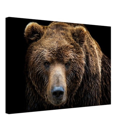 Da Vinci Animal Kingdom Wall art print | Brown bear - Canvas - 40x60 cm / 16x24″ - Slim
