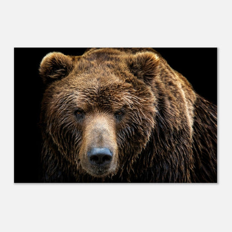 Da Vinci Animal Kingdom Wall art print | Brown bear - Aluminum Print - 50x75 cm / 20x30″ - 