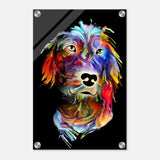 Da Vinci Animal Kingdom Wall art print collection | Dog painting print | Contemporary Art - Acrylic Print - 30x45 cm / 12x18″ - 