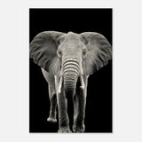 Da Vinci Animal Kingdom Wall art print collection | Elephant - Wood Prints - 50x75 cm / 20x30″ - 10 mm