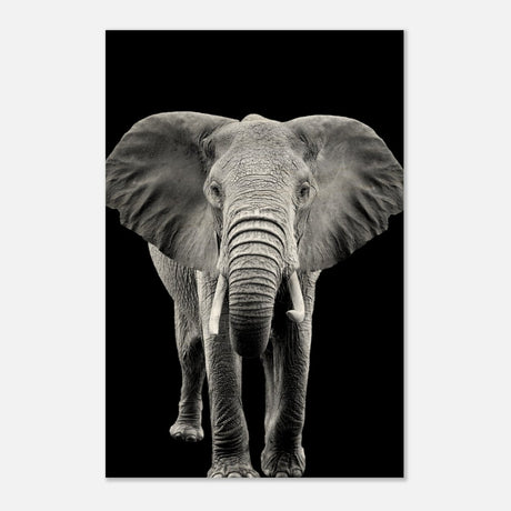 Da Vinci Animal Kingdom Wall art print collection | Elephant - Wood Prints - 50x75 cm / 20x30″ - 10 mm