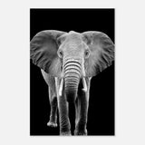 Da Vinci Animal Kingdom Wall art print collection | Elephant - Aluminum Print - 40x60 cm / 16x24″ - 