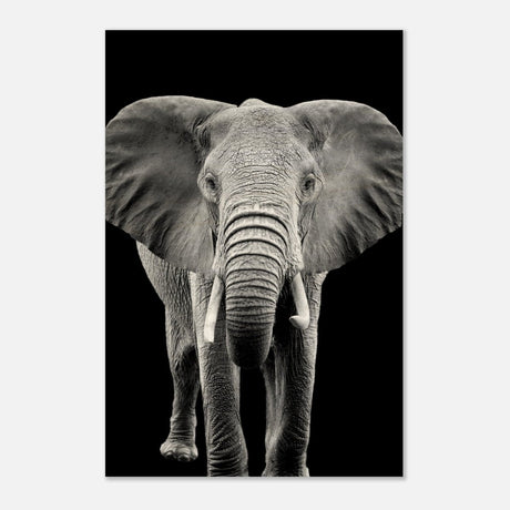 Da Vinci Animal Kingdom Wall art print collection | Elephant - Wood Prints - 30x45 cm / 12x18″ - 20 mm