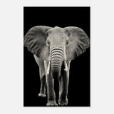 Da Vinci Animal Kingdom Wall art print collection | Elephant - Wood Prints - 60x90 cm / 24x36″ - 10 mm