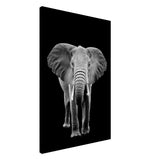 Da Vinci Animal Kingdom Wall art print collection | Elephant - Canvas - 60x90 cm / 24x36″ - Slim