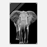 Da Vinci Animal Kingdom Wall art print collection | Elephant - Acrylic Print - 60x90 cm / 24x36″ - 
