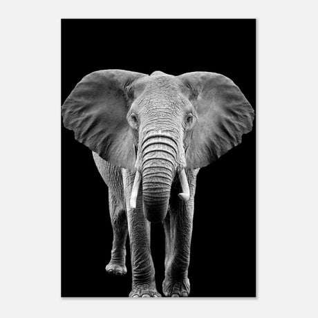 Da Vinci Animal Kingdom Wall art print collection | Elephant - Aluminum Print - 70x100 cm / 28x40″ - 