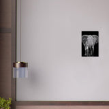 Da Vinci Animal Kingdom Wall art print collection | Elephant - Brushed Aluminum Print - 30x45 cm / 12x18″ - 