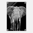 Da Vinci Animal Kingdom Wall art print collection | Elephant - Acrylic Print - 30x45 cm / 12x18″ - 
