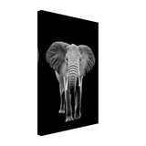 Da Vinci Animal Kingdom Wall art print collection | Elephant - Canvas - 30x45 cm / 12x18″ - Slim