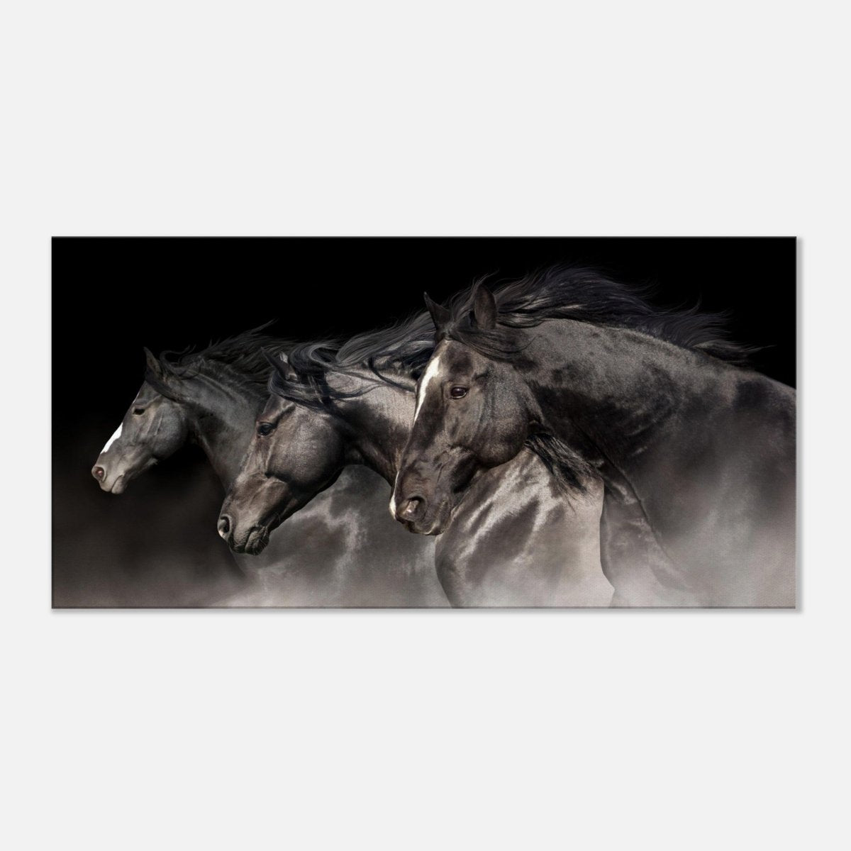 Da Vinci Animal Kingdom Wall art print collection | horses | Canvas print - Slim - 30x60 cm / 12x24″ - 