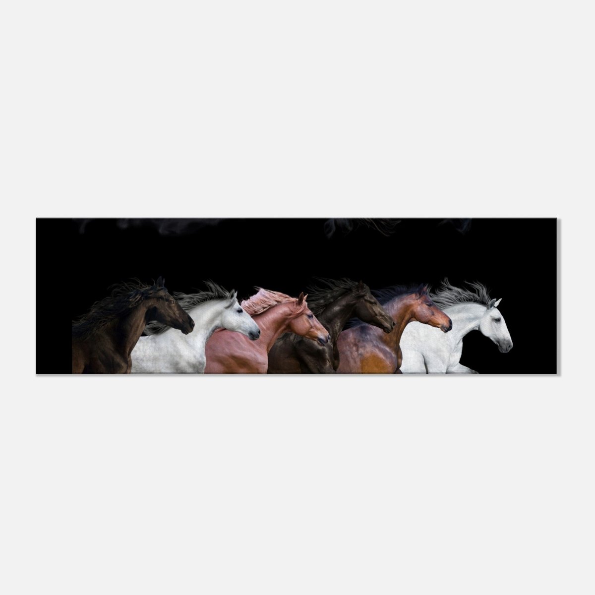 Da Vinci Animal Kingdom Wall art print collection | horses | Canvas print - 30x90 cm / 12x36″ - Slim - 