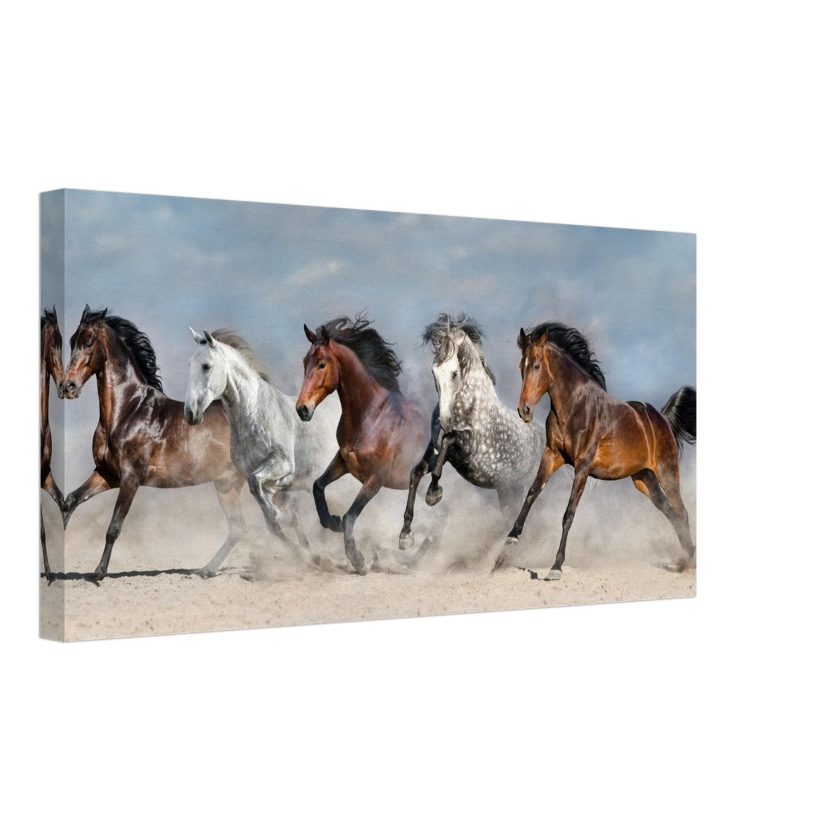 Da Vinci Animal Kingdom Wall art print collection | horses | Canvas print - Thick - 30x60 cm / 12x24″ - 