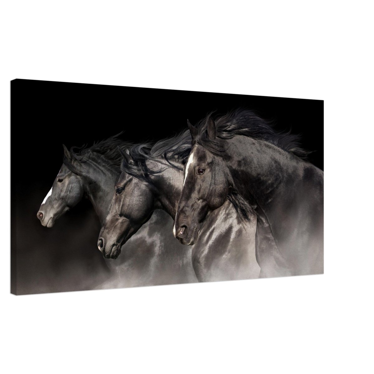 Da Vinci Animal Kingdom Wall art print collection | horses | Canvas print - Slim - 50x100 cm / 20x40″ - 