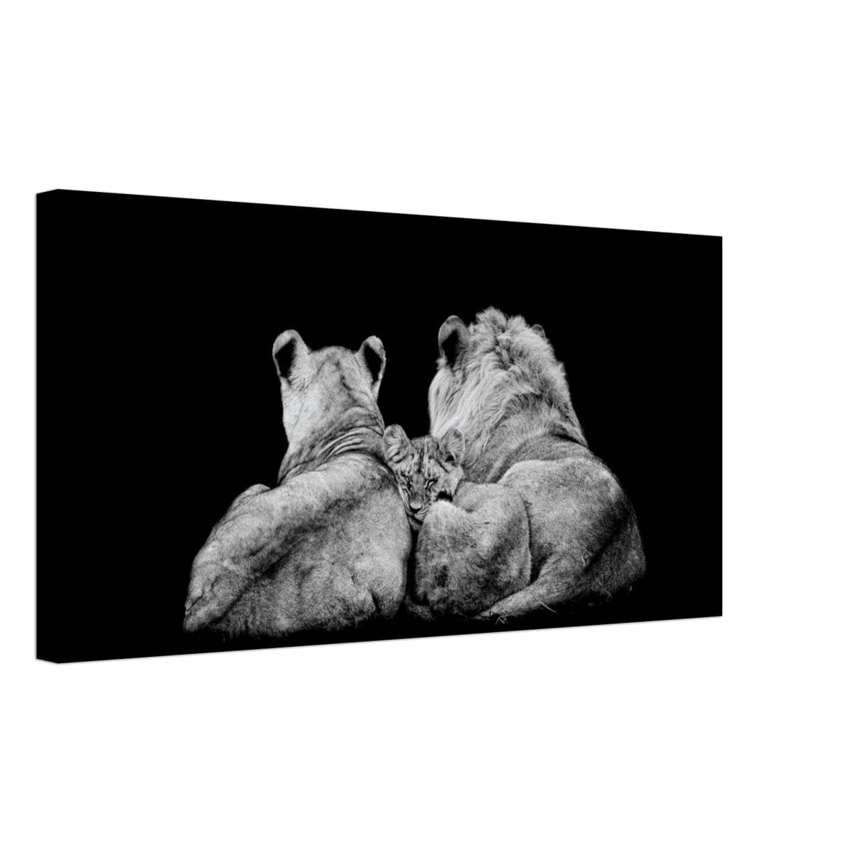 Da Vinci Animal Kingdom Wall art print collection | Lion Family | Canvas print - Slim - 30x60 cm / 12x24″ - 