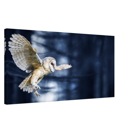 Da Vinci Animal Kingdom Wall art print collection | Owl | Canvas print - Thick - 50x100 cm / 20x40″ - 