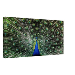 Da Vinci Animal Kingdom Wall art print collection | Peacock | Canvas print - Slim - 30x60 cm / 12x24″ - 